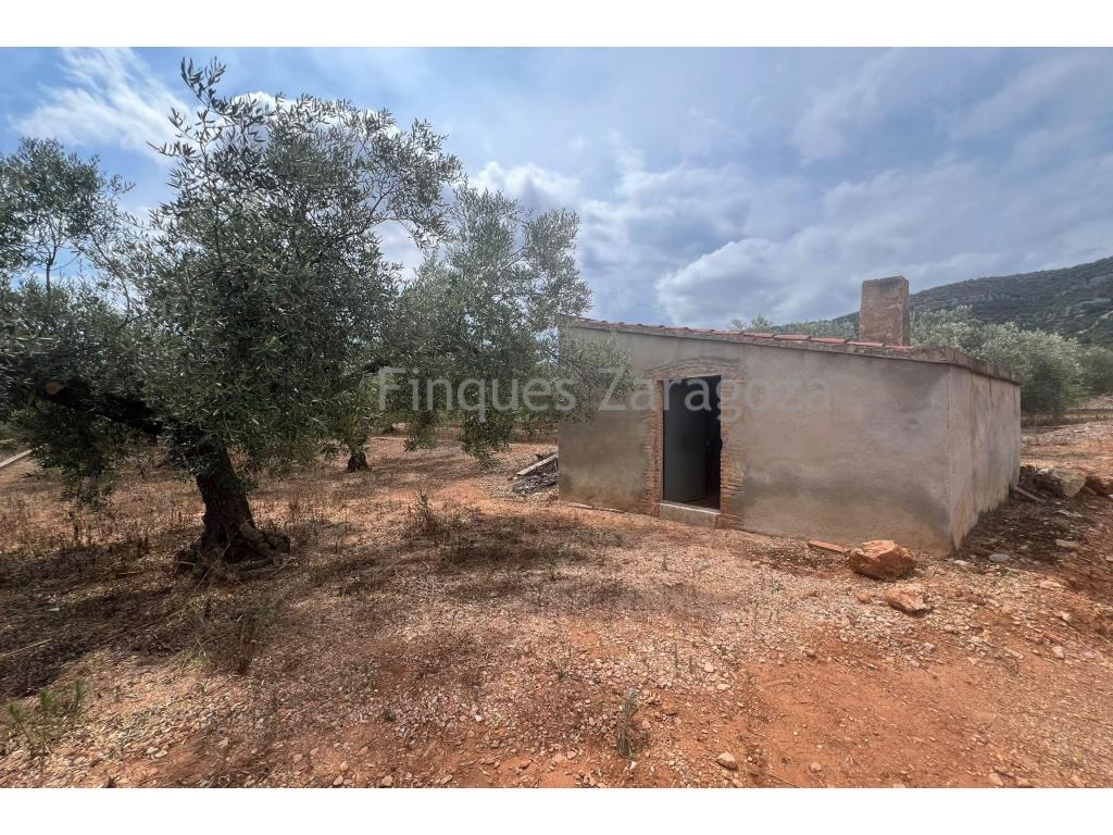 Rustic property of 7,392 m² for sale in the Les Llibreres area, within the municipality of Freginals. The property consists of productive olive groves, with water supplied by the Freginals Irrigation Community. It also includes a storage building of approximately 17 m² with a water cistern.   The indicated price does not include the costs and taxes arising from the transfer of ownership, such as notary, land registry and administrative fees, nor the applicable taxes (Property Transfer Tax, Value Added Tax or Stamp Duty), all of which shall be fully borne by the purchaser in accordance with current legislation. Real estate agency fees are included in the stated sale price. To determine and consult the applicable tax regime, please visit the website of the Catalan Tax Agency: https://atc.gencat.cat/ca/tributs The information contained in this advertisement is for information purposes only and does not constitute a binding offer or contract. Finques Zaragoza Immobiliaria Delta de l’Ebre, SL reserves the right to modify, update or correct the contents of this advertisement at any time without prior notice.